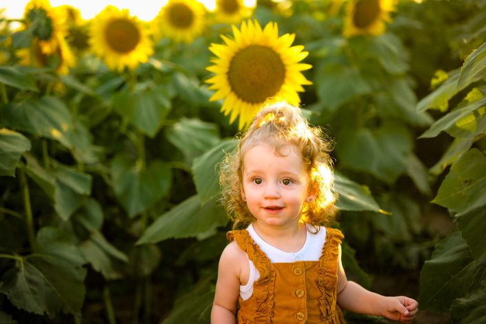 Stewart Family Sunflower Photoshoot - South Farms Mizzou