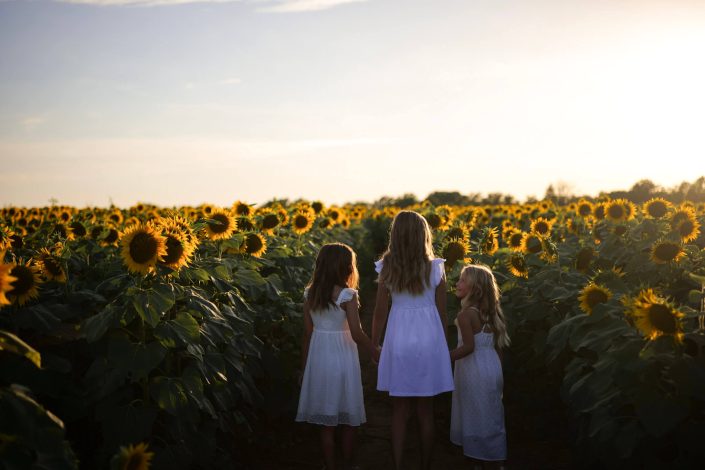 Columbia, MO - Sunflower Photoshoot - Mizzou - South Farms