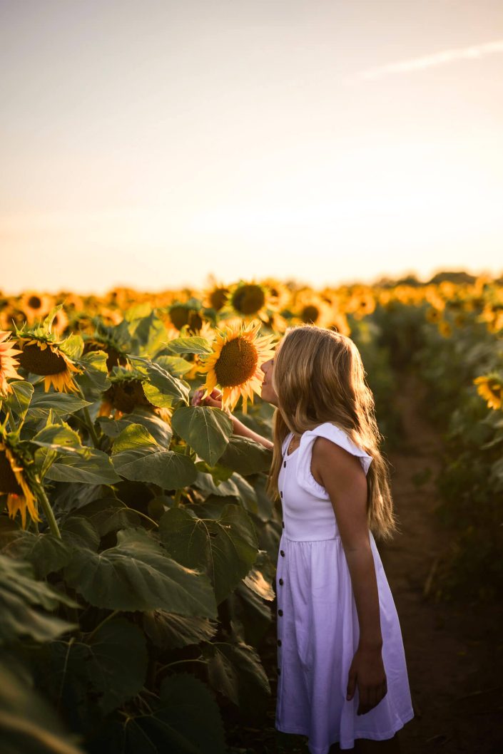Columbia, MO - Sunflower Photoshoot - Mizzou - South Farms